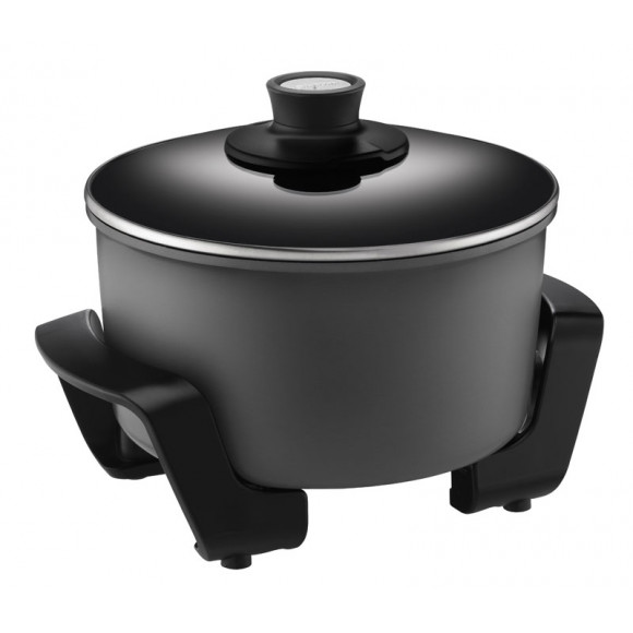 DF4500 Sunbeam Multi Cooker 