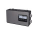 RF-D10GN-K Panasonic D10 Portable DAB+ Radio