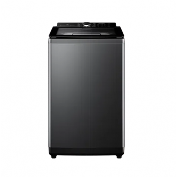 WA10P60G TCL 10 KG Top Load Washer